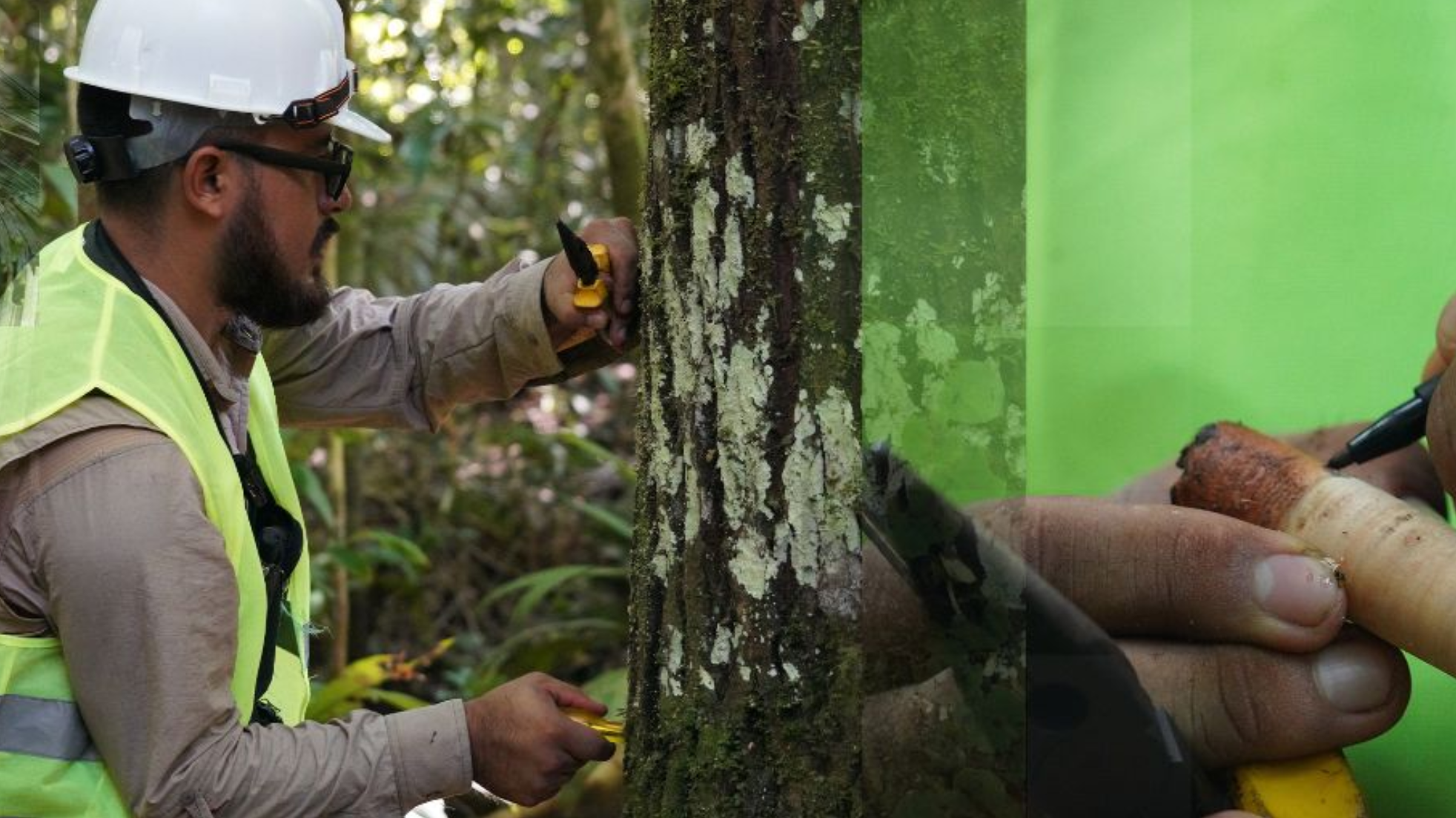 Jade Saunders Henry Arnhold Fellow